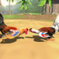 愤怒的农场公鸡振铃斗殴(Angry farm roosters ring fight)