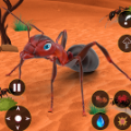 蚂蚁模拟器昆虫进化(Ant Simulator)1.0.1